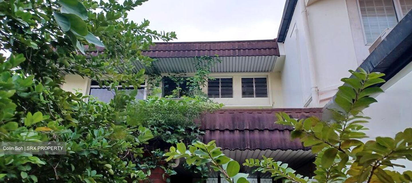 South Buona Vista Road (D5), Semi-Detached #459678191